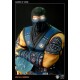 Mortal Kombat 9 Statue Sub-Zero 25 cm